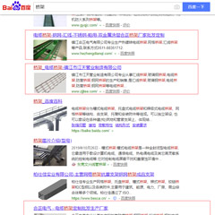 客戶網站排名優化案例
